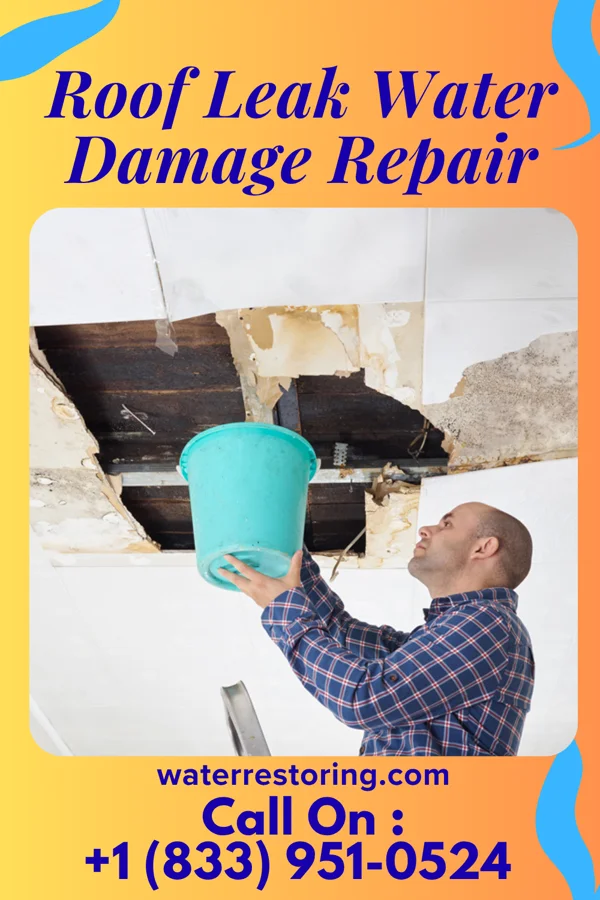 Roof Leak Water Damage Repair in Marshall, IN